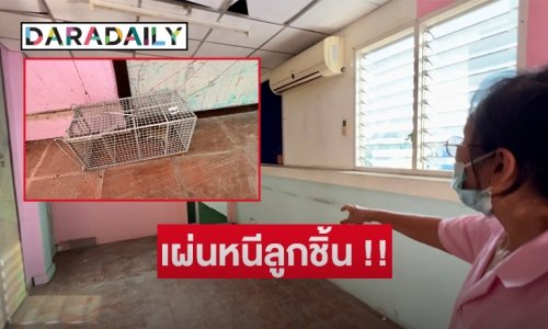 วันแรกดักหนูได้ 3 ตัว อีก 1 เข้าไปสำรวจเหยื่อแล้วไม่ใช่ “ลูกชิ้นยืนกิน” เลยเผ่นหนี !!