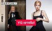 YG Entertainment ไม่ยอมความพร้อมดำเนินคดีต่อผู้ทำลายชื่อเสียง “โรเซ่ BLACKPINK”