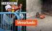 ได้เจอกันแล้ว! “ลิซ่า” ไปหา “น้องพันช์คุง” ลูกลิงหิมะตัวน้อยในสวนสัตว์อิชิกาวะ ประเทศญี่ปุ่น