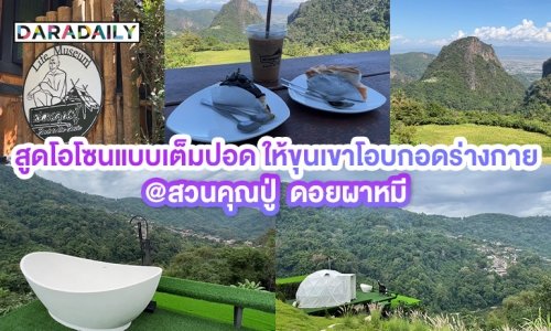สูดโอโซนวิวหลักล้านแบบเต็มปอด ให้ขุนเขาโอบกอดร่างกาย ที่ “สวนคุณปู่ ดอยผาหมี”