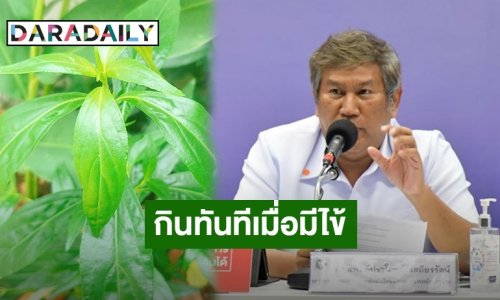 สธ. เผยผลการวิจัยฟ้าทะลายโจร ยับยั้งการเพิ่มจำนวนของ COVID-19