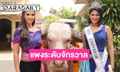 ตำนานความแพงระดับจักรวาล “เชย์นิส -แอนโทเนีย” ร่วมเฟรม “โก้ เมืองเพชร”  ควายเผือก 18 ล้าน