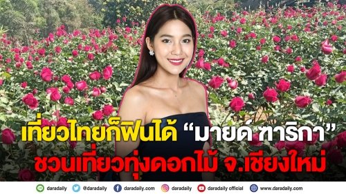 เที่ยวไทยก็ฟินได้ “มายด์ ฑาริกา” ชวนเที่ยวทุ่งดอกไม้ จ.เชียงใหม่