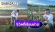 “มิกค์ ทองระย้า” ชีวิตที่เรียบง่าย ปลูกต้นไม้อยู่ท่ามกลางไร่ที่เขาใหญ่