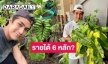 น้อยคนจะรู้! “เขต ธาราเขต” ผันตัวเป็นนักแสดงอิสระ สร้างอาชีพใหม่ขายต้นไม้รายได้ปัง 6 หลัก 
