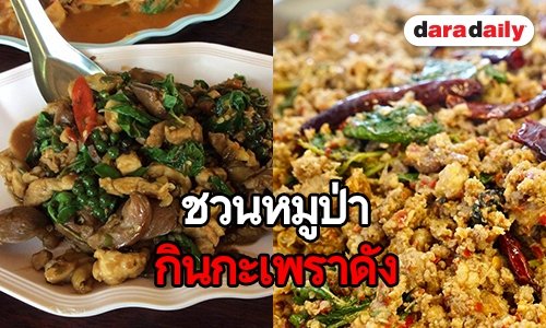 แนะนำร้านกะเพราอร่อย รับการกลับมาของทีมหมูป่า