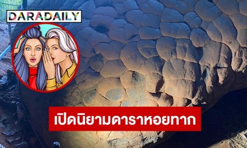 เปิดนิยามดาราหอยทาก