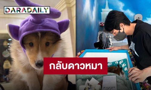 กำลังใจแน่น “วิน เมธวิน” อำลา “น้องเบนท์ลีย์” เดินทางกลับดาวหมาอย่างสงบ