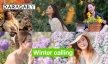 Winter calling  5 ซุปตาร์รับลมหนาว 