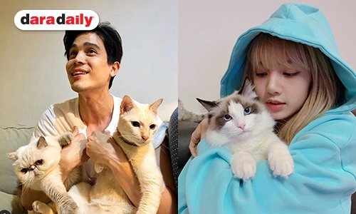 มีเหมียวเป็นเพื่อน ส่องซุป"ตาร์ ใครบ้างเป็นทาสแมว