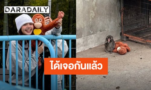 ได้เจอกันแล้ว! “ลิซ่า” ไปหา “น้องพันช์คุง” ลูกลิงหิมะตัวน้อยในสวนสัตว์อิชิกาวะ ประเทศญี่ปุ่น
