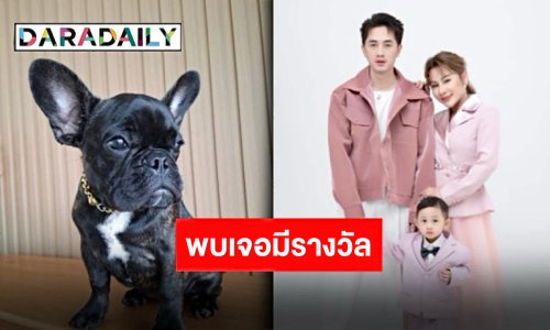 ประกาศตามหา “น้องสร้อยทอง” น้องหมาสุดรักของ “อ๊อด-ฝ้าย ศรรามน้ำเพชร” ใครพบแจ้งด่วนมีรางวัลให้