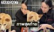 “อั้ม พัชราภา” แจ้งข่าวเศร้าสูญเสีย “น้องถั่ว” เผยลางสังหรณ์สุดท้ายก่อนจากกัน