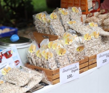กิจกรรมสัมมนาวิชาการและนิทรรศการส่งเสริมสุขภาพด้วยภูมิปัญญาไทย อาหารไทย