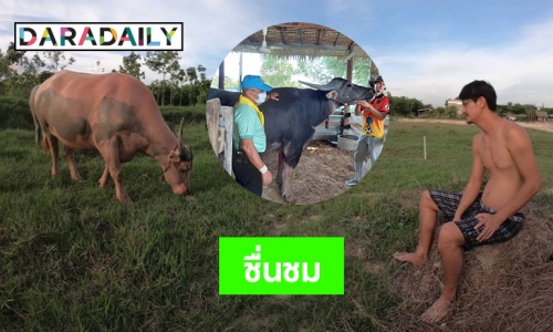 จิตอาสาวังดูงานอนุรักษ์ควายไทยของ “น้ำ รพีภัทร”