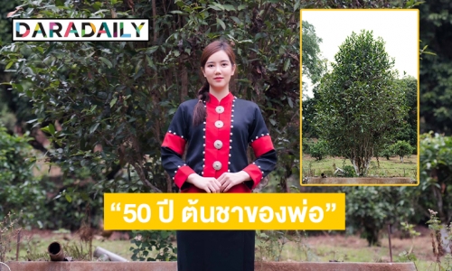 “50 ปี ต้นชาของพ่อ” ในความทรงจำของ “ริชชี่ อรเณศ”