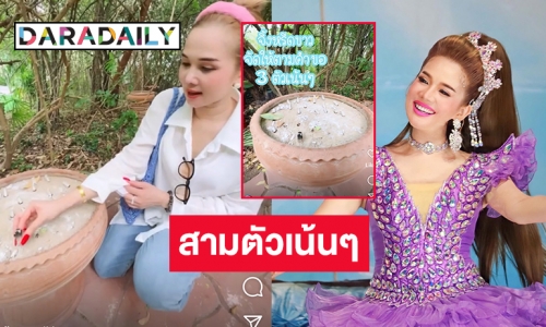 เปิดเลขสามตัวตรงของ “จิ้งหรีดขาว วงศ์เทวัญ” จากวังนาคะราชามหาเศรษฐี