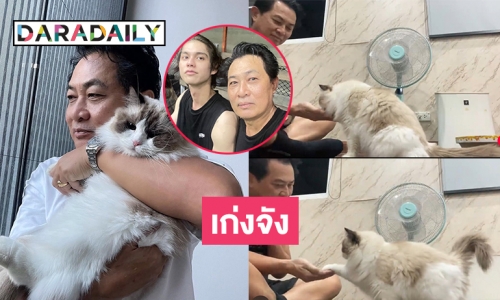 มาดูความเก่งของ “น้องอาเม่ะ”  แมวโปรดของ “ไบร์ท วชิรวิชญ์”