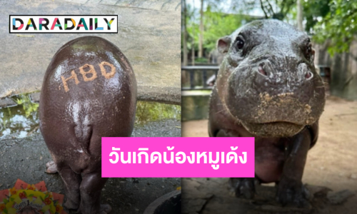 เตรียมฉลองวันเกิด “น้องหมูเด้ง” ครบรอบ 1 ขวบ คุณหนูๆ เข้าฟรี 4 วัน!!