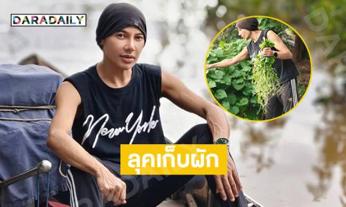 ลุคเก็บผักตำลึงดีเจดังออร์แกนิกส์มาก