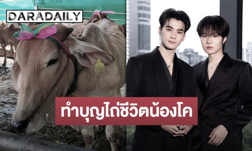 เติมบุญกันต่อ “เก่ง-น้ำปิง” ไถ่ชีวิตน้องโคติดโบว์ เพื่อขอบคุณแฟนคลับที่ช่วยโหวต น้อมอนุโมทนาสาธุ