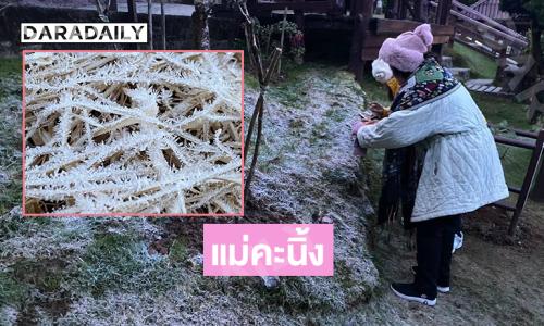 ใต้น้ำท่วมแต่ทางเหนืออาการหนาวเกิด “แม่คะนิ้ง” บนยอดดอยอินทนนท์เป็นวันที่ 5 ของฤดูหนาว 