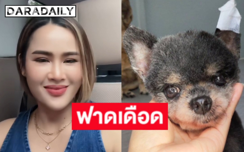 “หนูเล็ก” เดือด! ร้านตัดขน ตัดหูหมาขาด แต่ไม่ยอมแจ้งตอนเกิดเหตุ ปกปิดอาการ