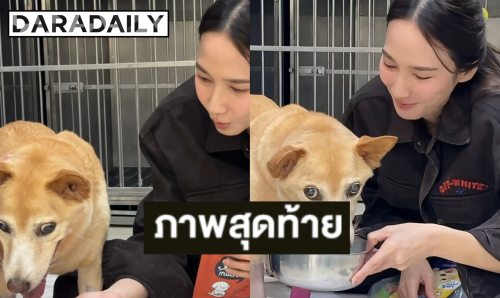 “อั้ม พัชราภา” แจ้งข่าวเศร้าสูญเสีย “น้องถั่ว” เผยลางสังหรณ์สุดท้ายก่อนจากกัน
