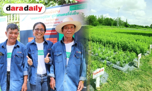 ซีพีแรม เดินหน้าเคียงคู่เกษตรกรไทย หนุนโครงการเกษตรกรคู่ชีวิต สู่วิถีเกษตรที่ยั่งยืน ผลักดันพื้นที่ไร้ประโยชน์ สู่การสร้างอาชีพที่มั่งคงกับแปลงกะเพรา จ.ลำพูน