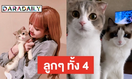 ส่องความน่ารักเจ้าแมวน้อย ของ “ลิซ่า BLACKPINK”