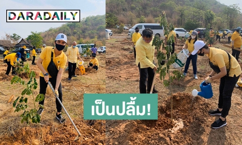 “ซัน วงศธร” รู้สึกเป็นเกียรติเข้าร่วม “โครงการปลูกป่าเฉลิมพระเกียรติ” 