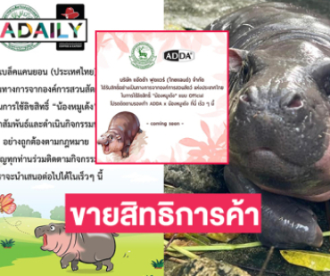 สวนสัตว์เขาเขียวขาย licensing “หมูเด้ง”ให้แบรนด์สินค้า