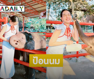 ดาราดังป้อนนมน้อง “ช้างพลายโสภณ  พังโสภิต” ที่อยุธยา