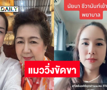 หามส่งรพ.เหตุแมววิ่งขัดขาอดีตนางเอกดังล้มตอนบิณฑบาตร
