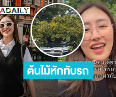 “แพทตี้ พิมพาภรณ์” เจอต้นไม้หักทับรถ ด้านสามีพ้อ “เกิดแต่กับ..”