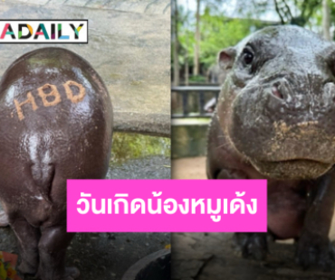 เตรียมฉลองวันเกิด “น้องหมูเด้ง” ครบรอบ 1 ขวบ คุณหนูๆ เข้าฟรี 4 วัน!!