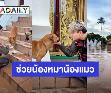 “บูม เทยกะทะ” ลงพื้นที่จ.น่าน ช่วยผู้ประสบภัยน้ำท่วมและอพยพน้องหมาน้องแมว