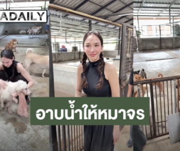 นางฟ้าบนดิน! “อั้ม พัชราภา” อาบน้ำดูแลสุนัขจรจัด กว่า 130 ตัว “เอ ศุภชัย” ลงคลิปสุดอบอุ่น