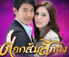 เรื่องย่อละคร : ดอกส้มสีทอง